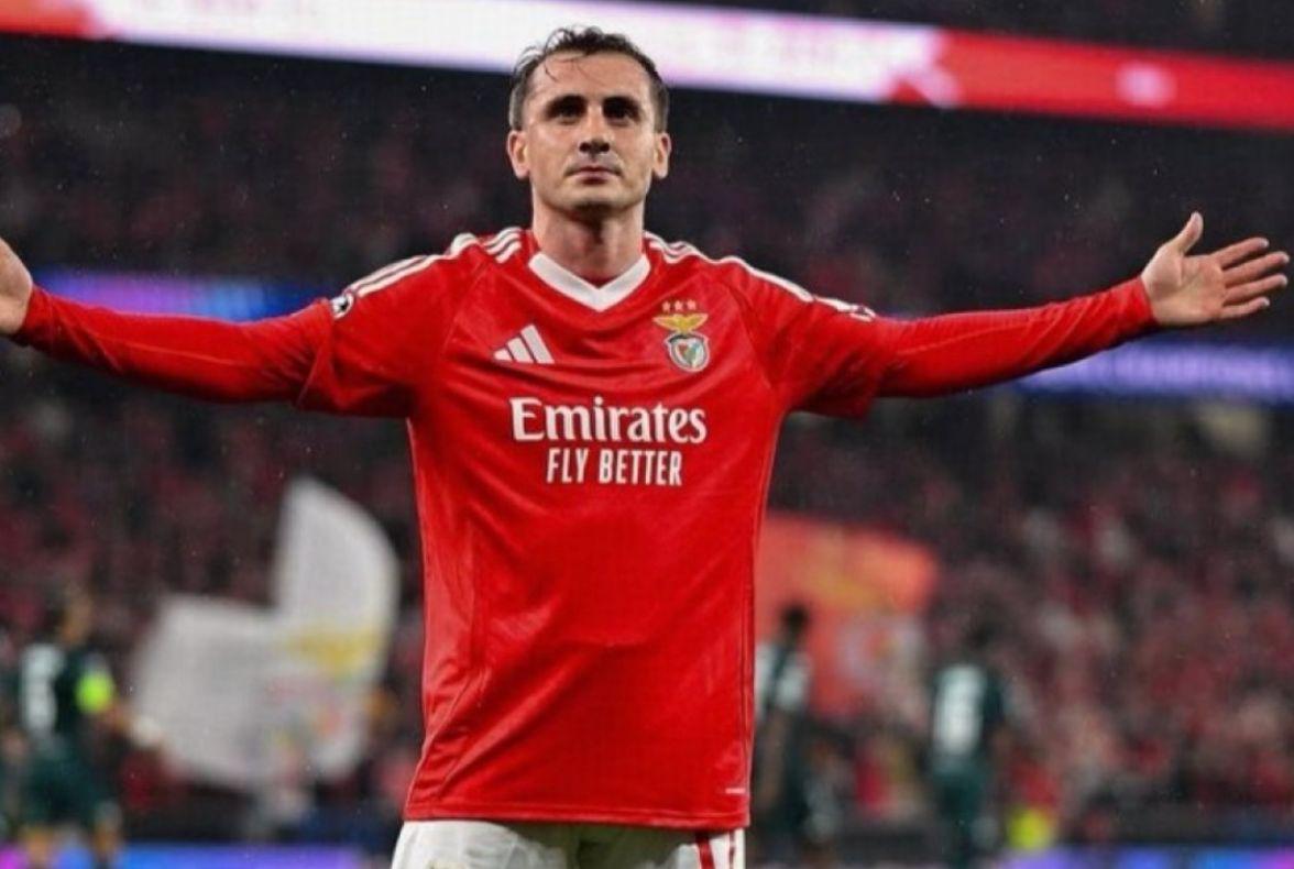 其中包括葡 其中包括葡